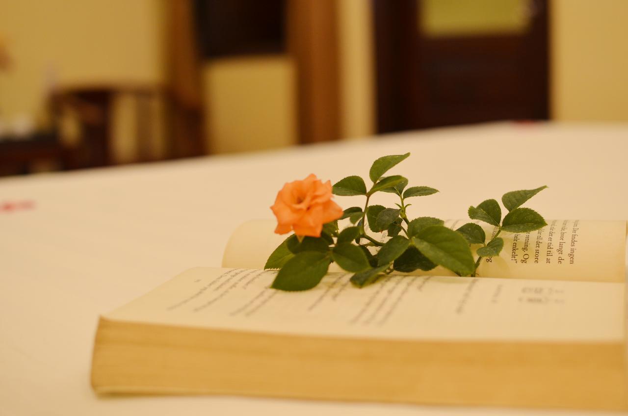 Panda Garden Homestay ฮอยอัน ภายนอก รูปภาพ