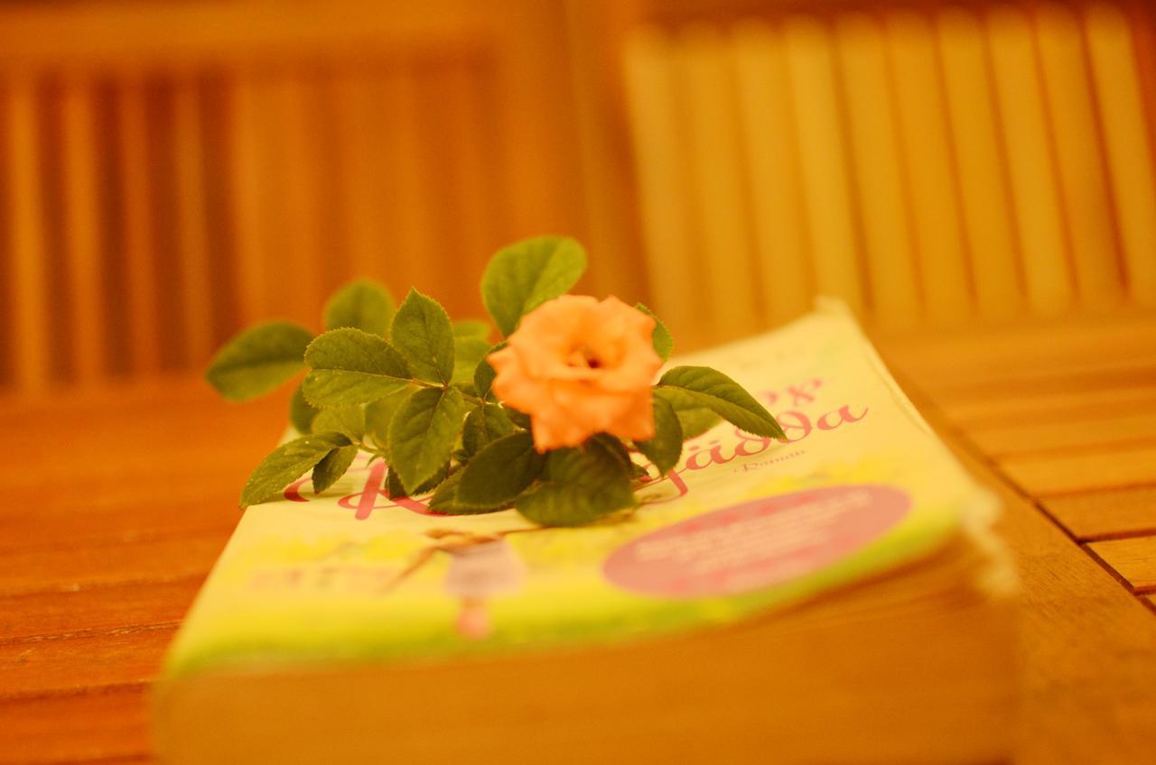 Panda Garden Homestay ฮอยอัน ภายนอก รูปภาพ